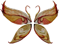 Wings of Disillusionment